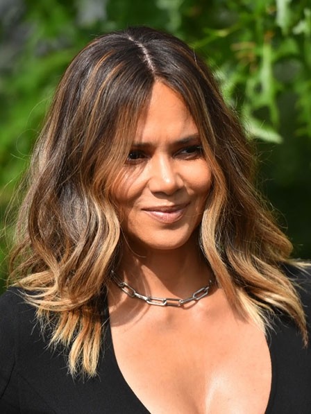 Halle Berry 100% Human Hair Celebrity Wigs