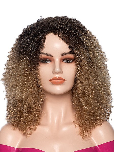 Kinky Curly Wigs for Black Women Multi Colour Choice