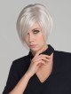 Straight Gray Synthetic Lace Front Mono Top Wig