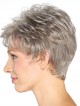 Ladies Pixie Cut Grey Wig Lace Front Mono Top New Arrival