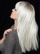Long Grey Wigs for Women