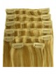 Straight Human Hair Hair Extensions Multi Chioce for Length