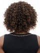 Classic Curly Afro Wigs for Black Women