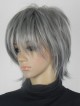 Timeless Excellent Grey Short Straight Synthetic Wigs