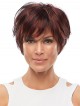 Short Layered Synthetic Lace Front Mono Wig
