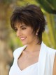 Natural Look Fashion Brown Short Wig on Sale