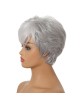 Quality Grey Wigs for Old Women Fast Ship