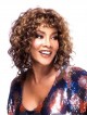 Classic 100% Human Hair Capless Curly African American Wig
